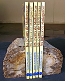 AAA Grade Petrified Wood Book Ends Small Size