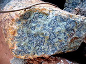 AA Grade Rough Kambaba (Crocodile) Jasper